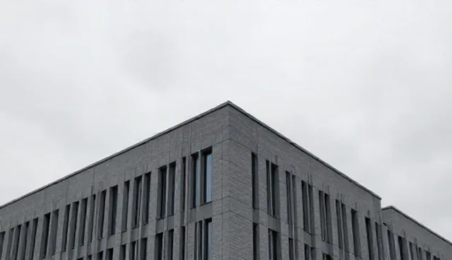 荒地清洁的实用技巧与维护要点